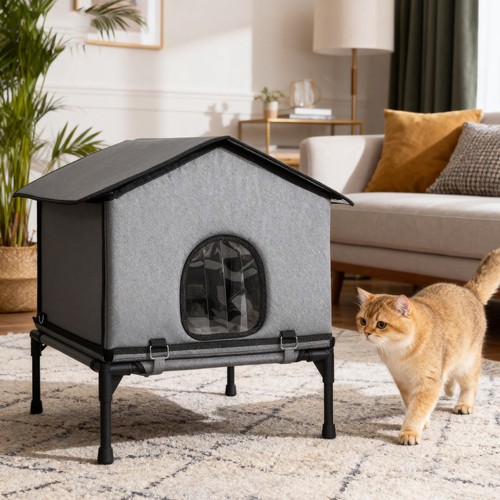 Outdoor cat house - cat, house,