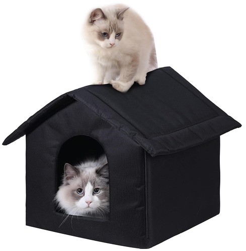 Outdoor cat house - cat,