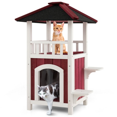 Outdoor cat house story - outdoor,