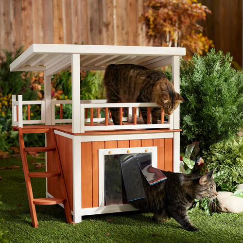 Frisco outdoor wooden cat - outdoor,