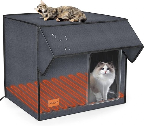 Indoor outdoor cat - cat, w/