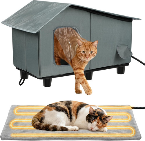 Outdoor heated cat - cat, house