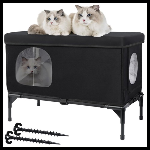 Black outdoor cat - black,