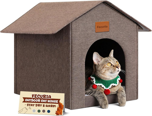 Outdoor cat house stray - outdoor,