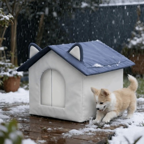 Outdoor cat house - cat,
