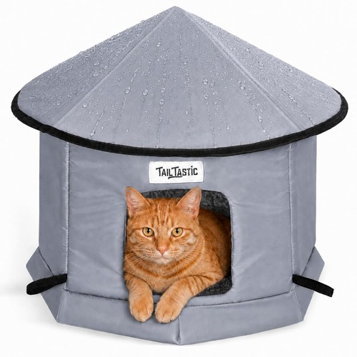 Tailtastic outdoor cat - outdoor, house