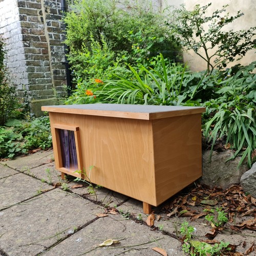 Cat chill house outdoors - chill,