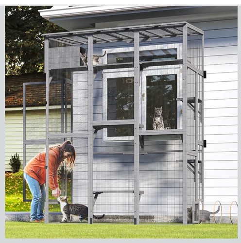 Large cat house - house, outdoor