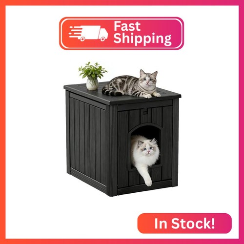 Gulaimoao outdoor cat - cat, house
