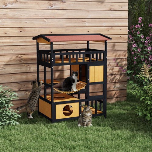 Tiers outdoor cat - tiers,