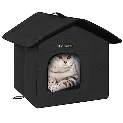Weatherproof outdoor cat - outdoor,