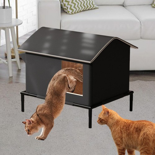 Outdoor cat house kitty - outdoor,