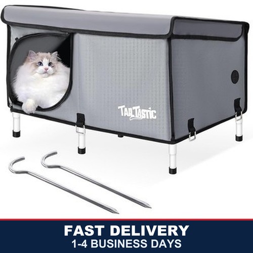 Outdoor cat house - cat, winter