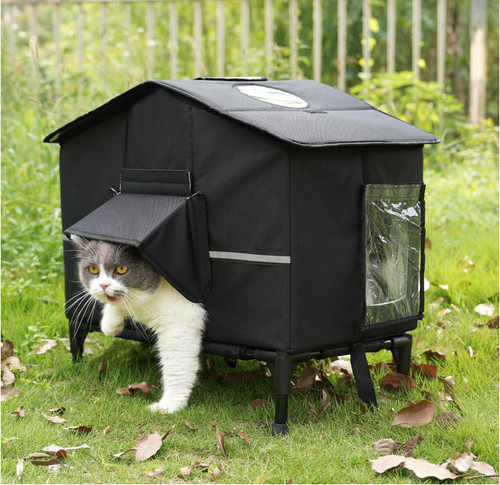 Outdoor cat house - cat,