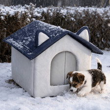 Winter Warm Insulated Cat