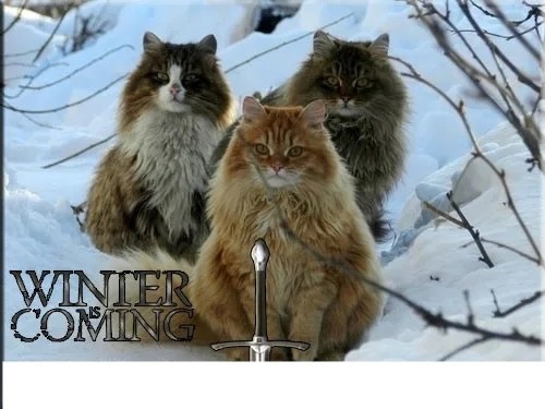 Winters coming heated - ",