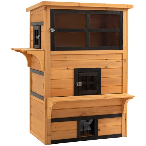 Tier feral cat - house, outdoor