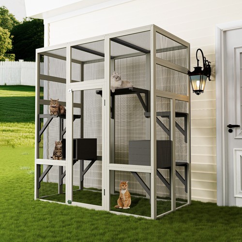 Large outdoor catio - outdoor, cat