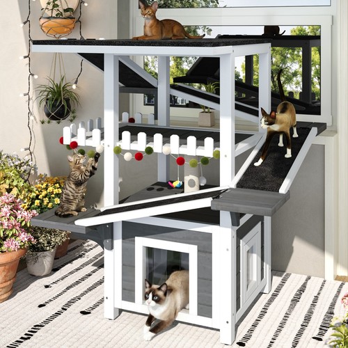 Tier outdoor cat - outdoor, house