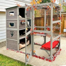 Outdoor Cat House Catio 4