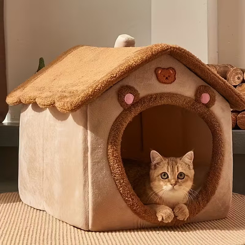 All season outdoor - outdoor, cat