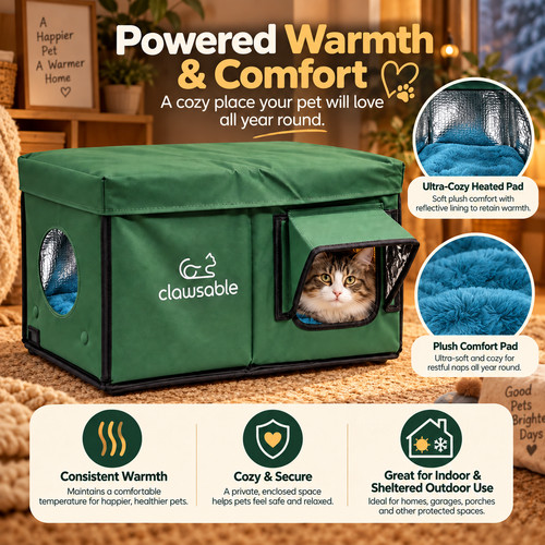 Heated cat house - cat,