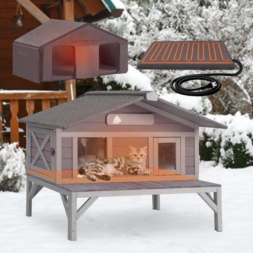 Outdoor cat house - cat, feral