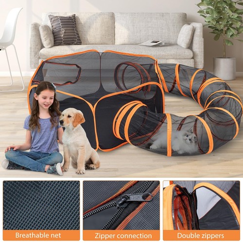 Big pet cat dog - 2,